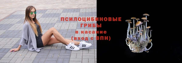 дмт Баксан