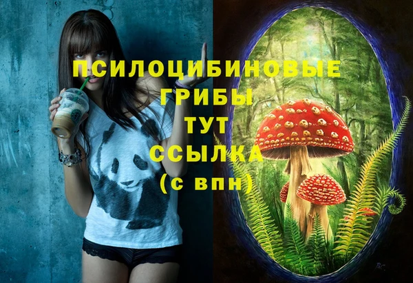 дмт Баксан